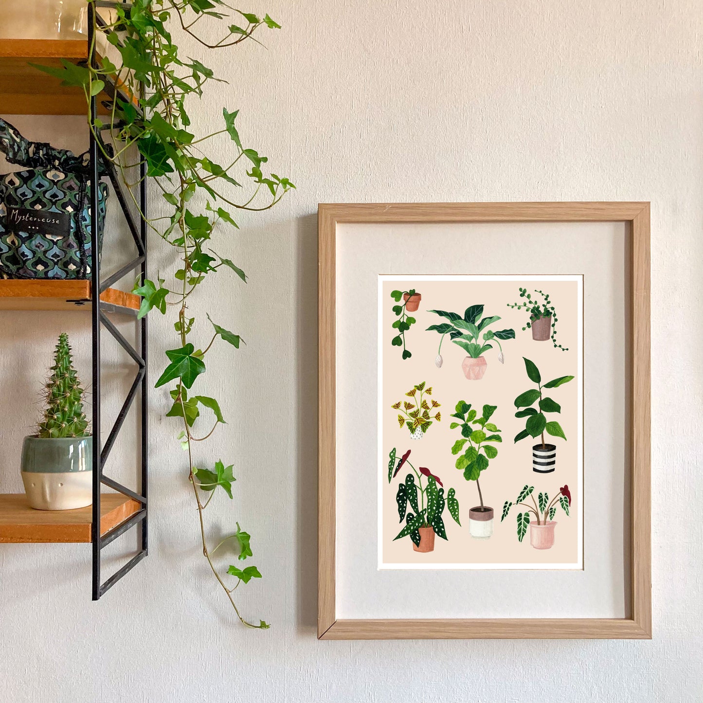 Affiche Plantes d'intérieur