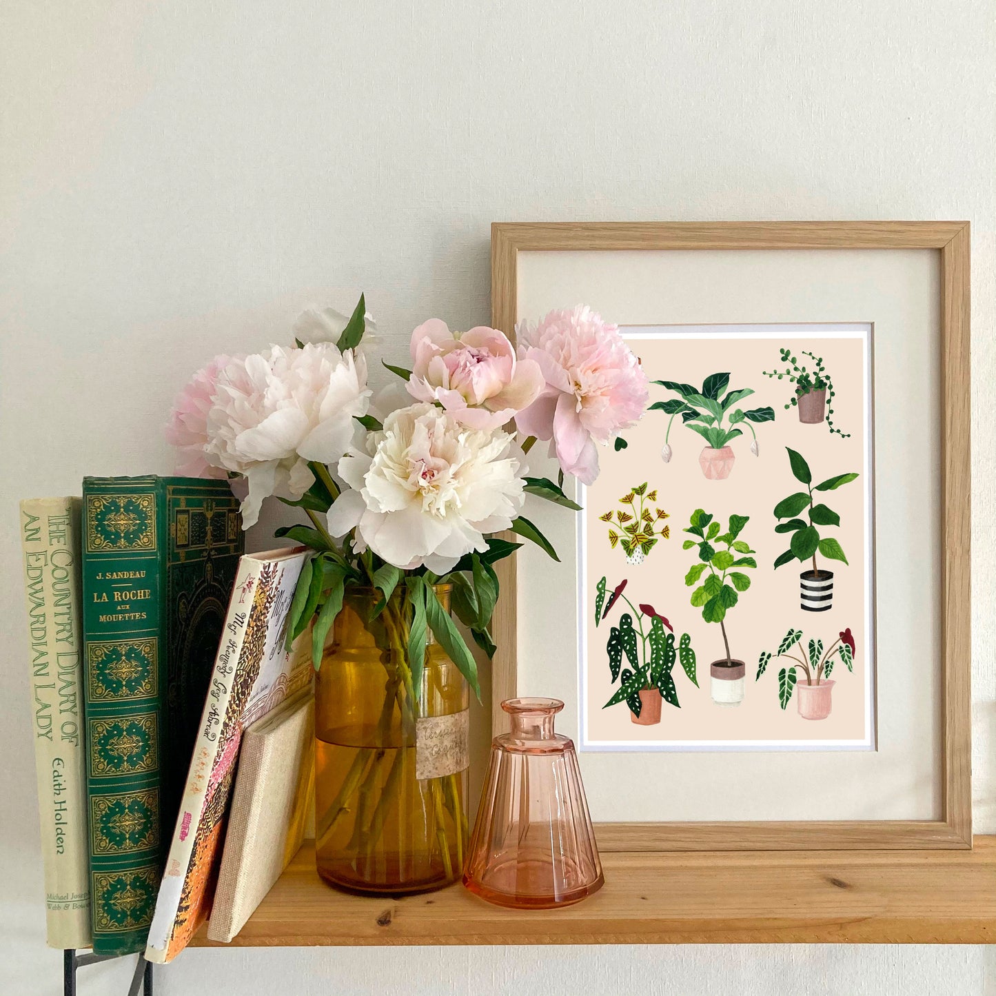 Affiche Plantes d'intérieur