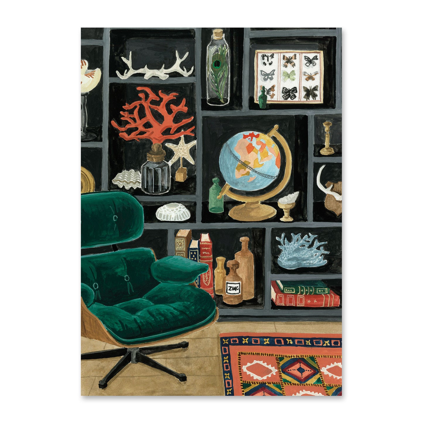 Carte postale Cabinet de curiosités