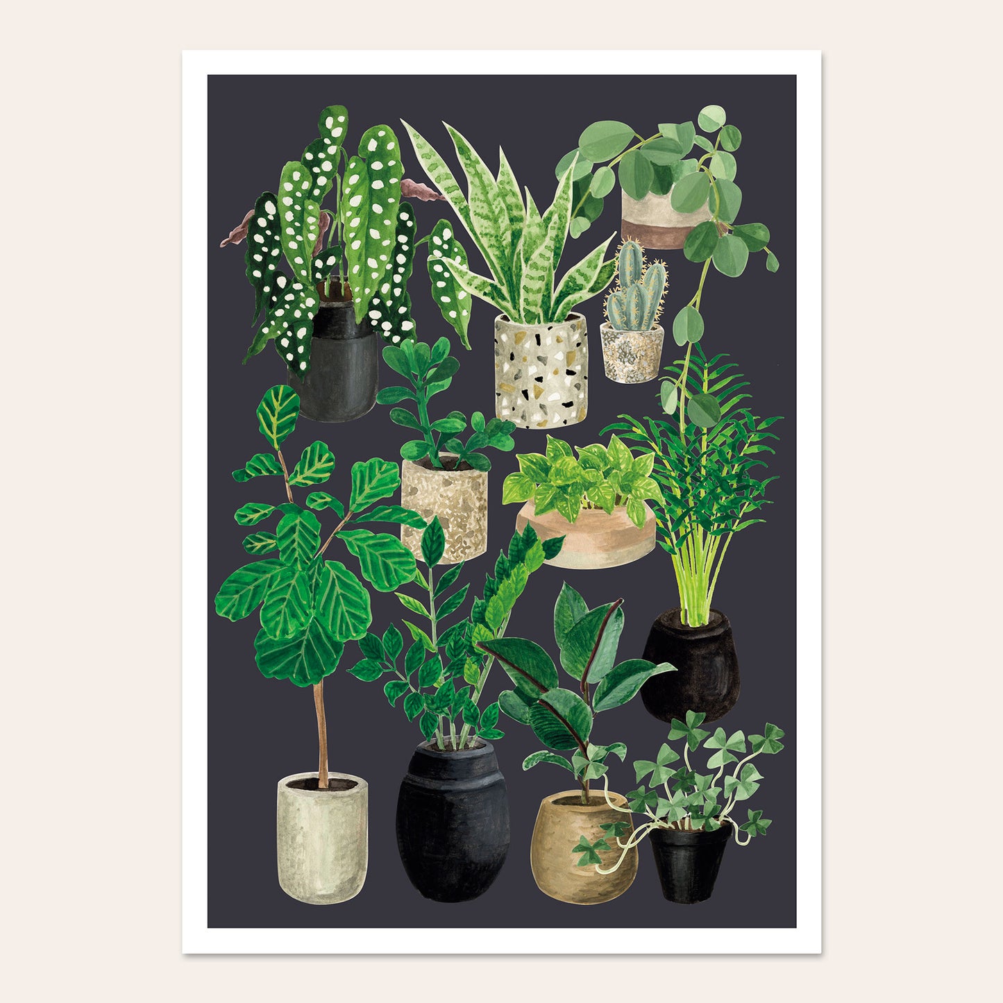 Poster Love of plants - slate