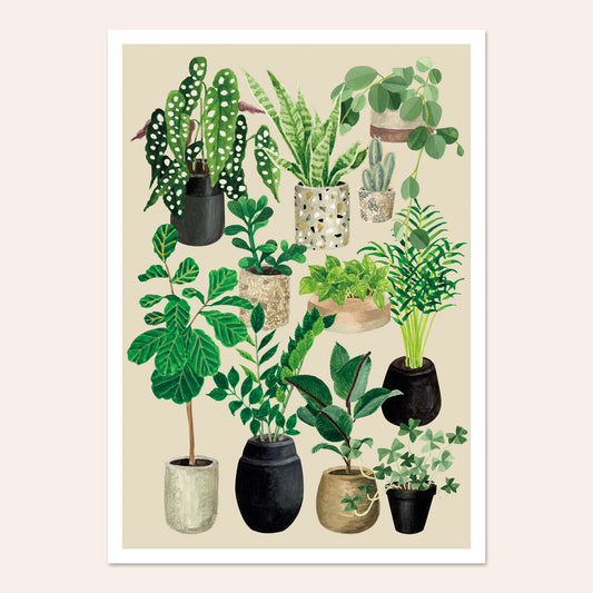 Affiche Amour de plantes - craie