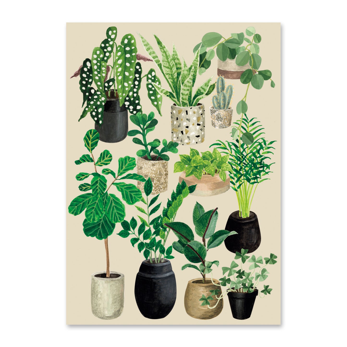 Carte postale Amour de plantes - Craie