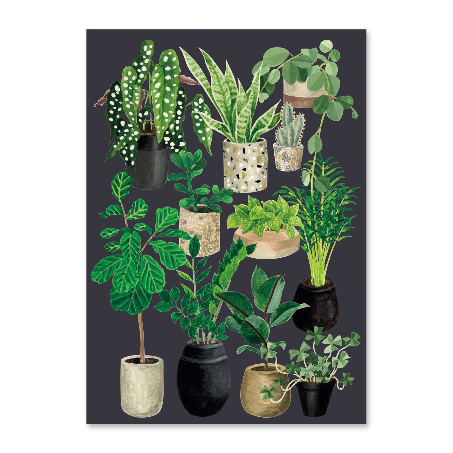 Postcard Love of plants - Slate