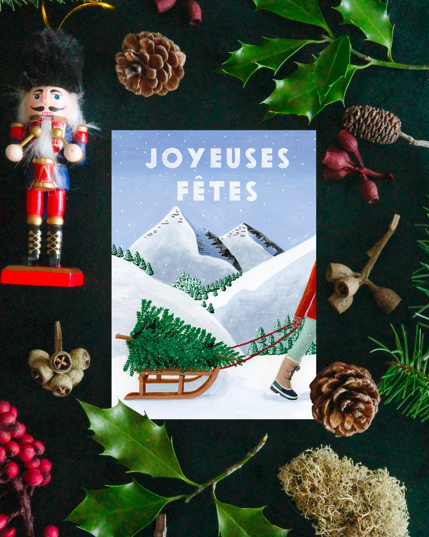 Carte Joyeuses Fêtes Luge